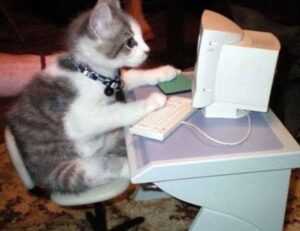 12 hour fasting diet fntkdiet