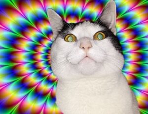 benefits of alletomir wealth management