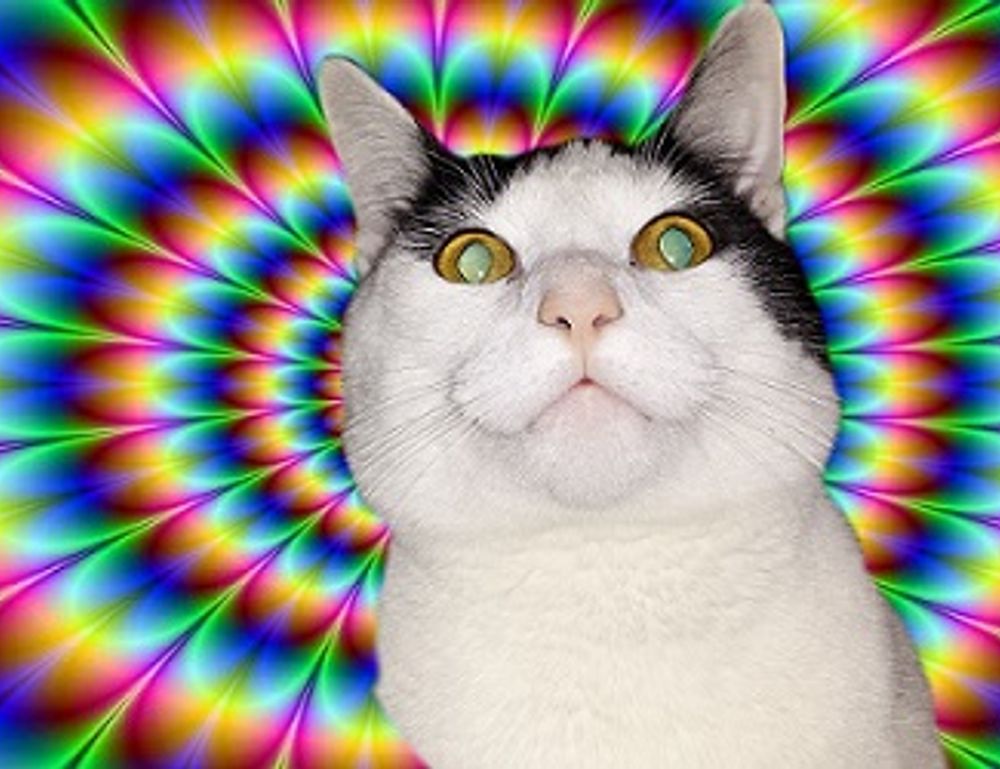 benefits of alletomir wealth management