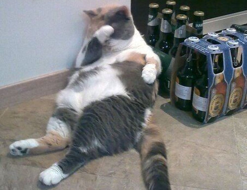 is obernaft coming out in 2023