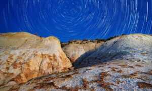 is rizopacho high in iron