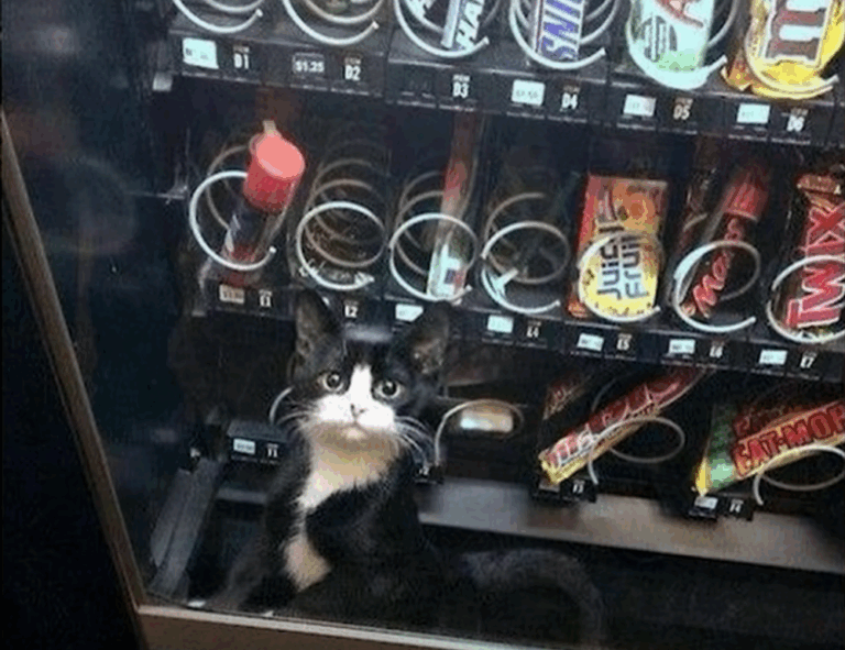 lescohid herbicide to kill grass