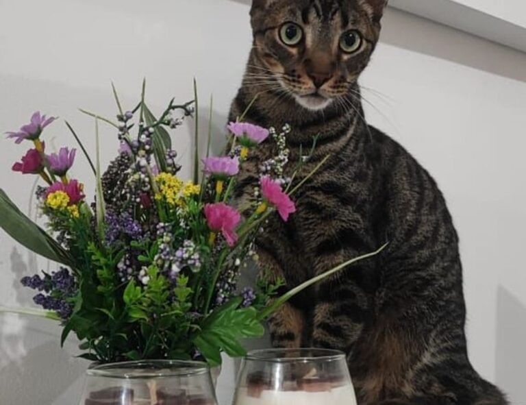 advice for office workers ewmagwork