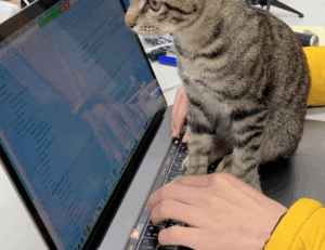 advice tips ontpwellness