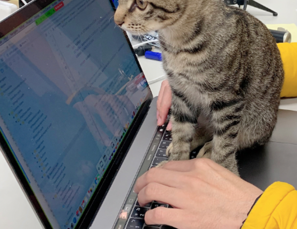 advice tips ontpwellness