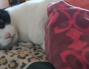 body nourishment twspoonfitness