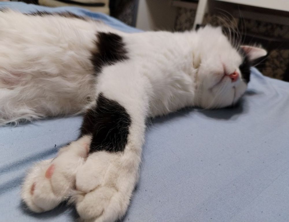 body nutrition twspoonfitness