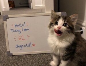 career trends ewmagwork