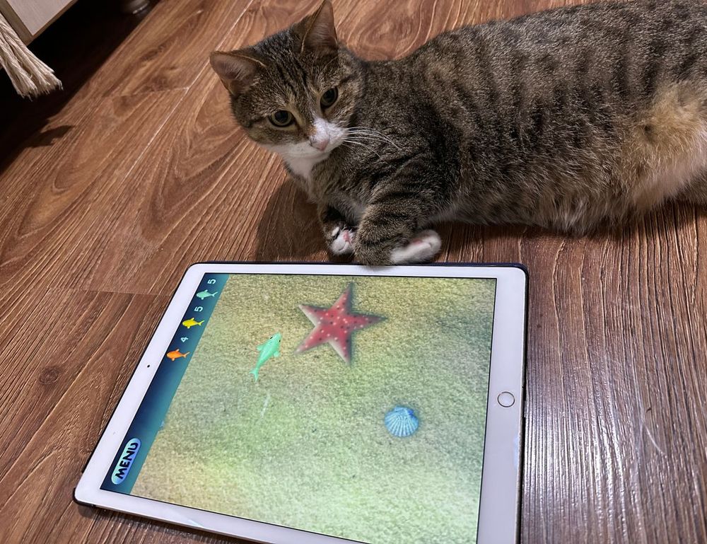 cbd advice tweeklynutrition