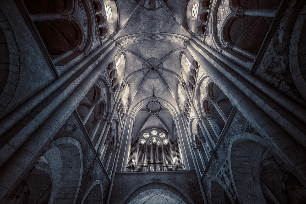 comprehensive perspective