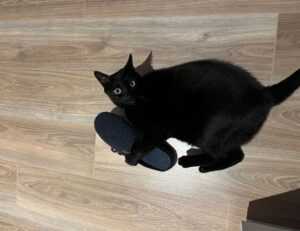 ewmagwork activism power from emergewomanmagazine