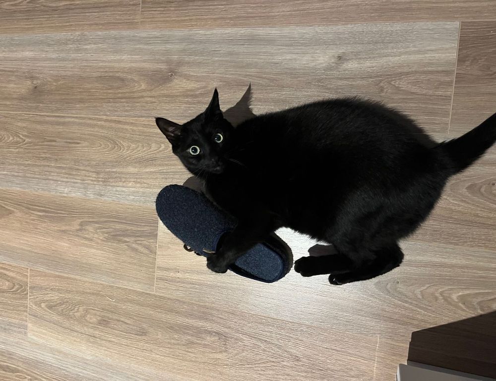 ewmagwork activism power from emergewomanmagazine