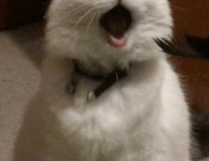 fitness guide shmghealth