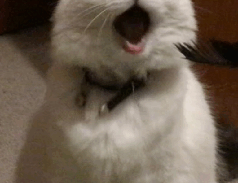 fitness guide shmghealth