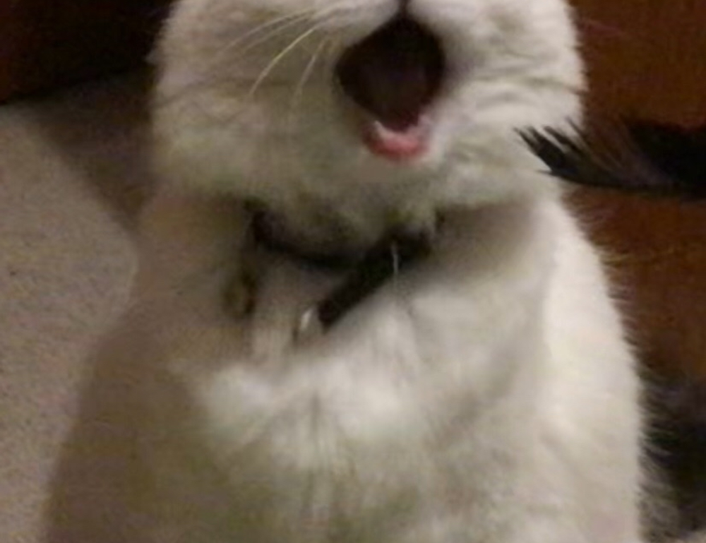 fitness guide shmghealth