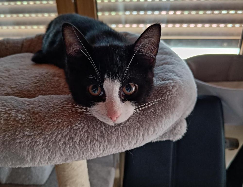 fitness meal hacks tweeklynutrition