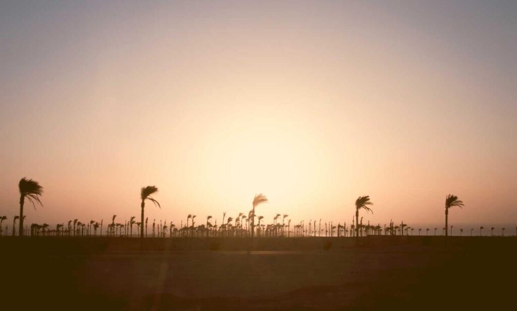 fitness nutrition guide twspoondietary