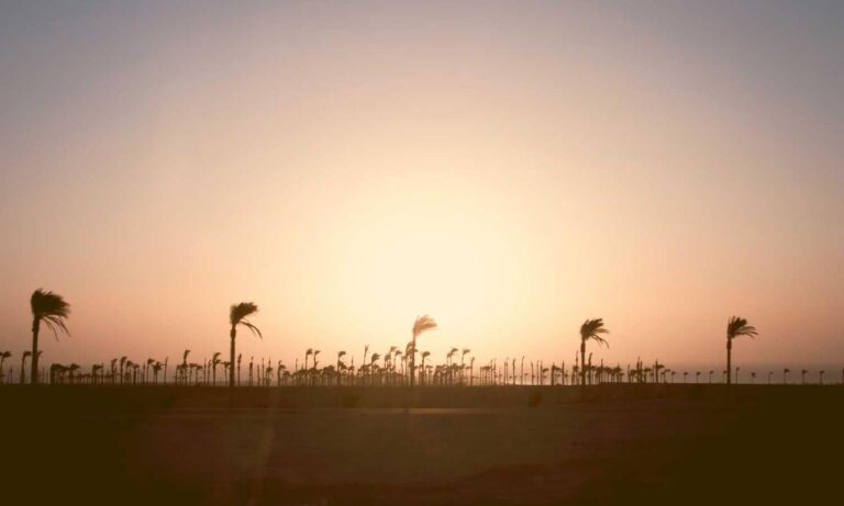 fitness nutrition guide twspoondietary