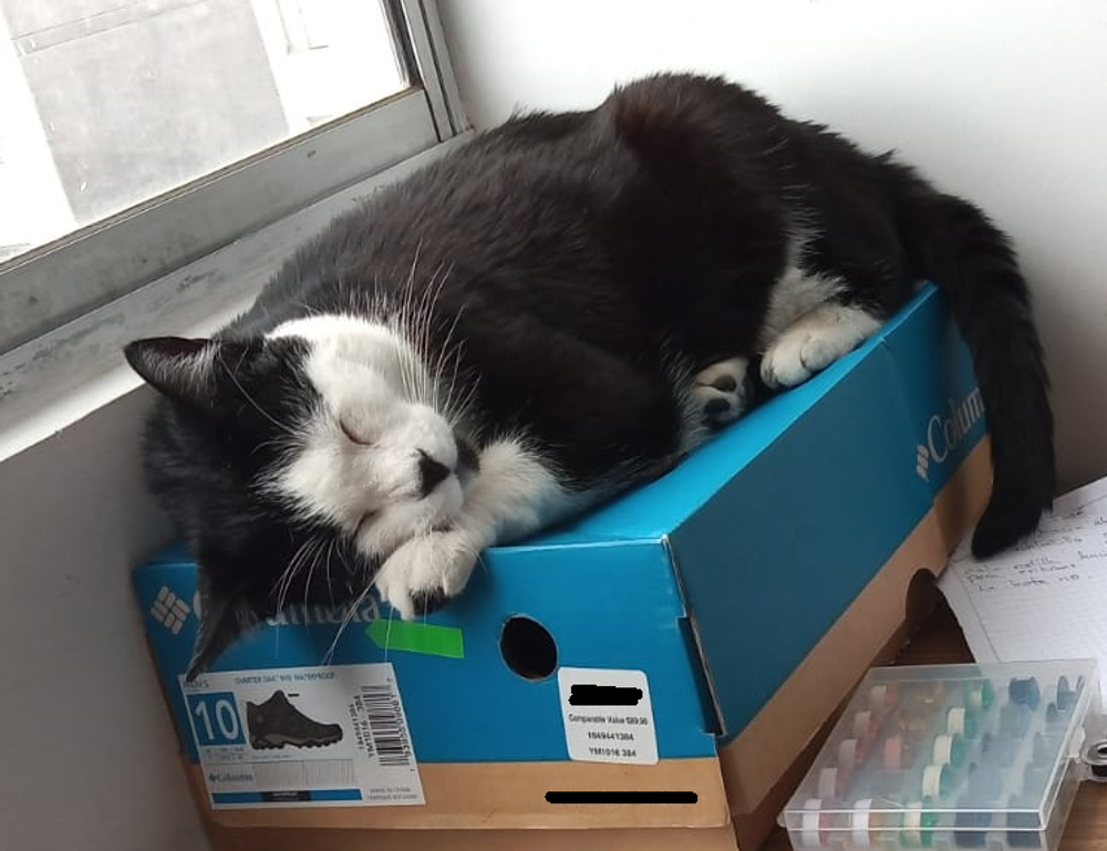 fitness nutrition twspoondietary