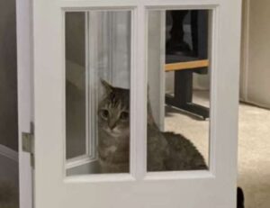 fitness pilates ewmagwork