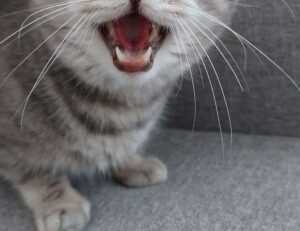 fitness tips lwspeakfit