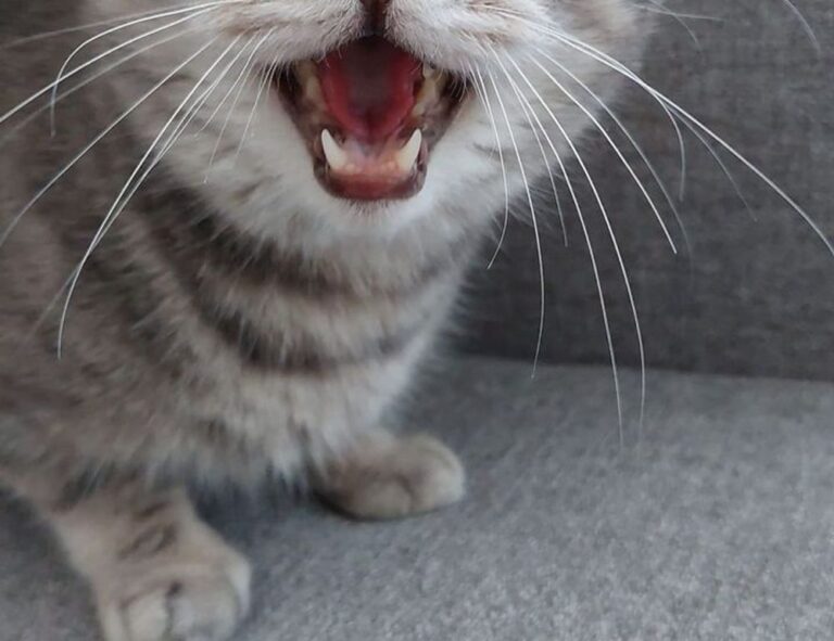 fitness tips lwspeakfit