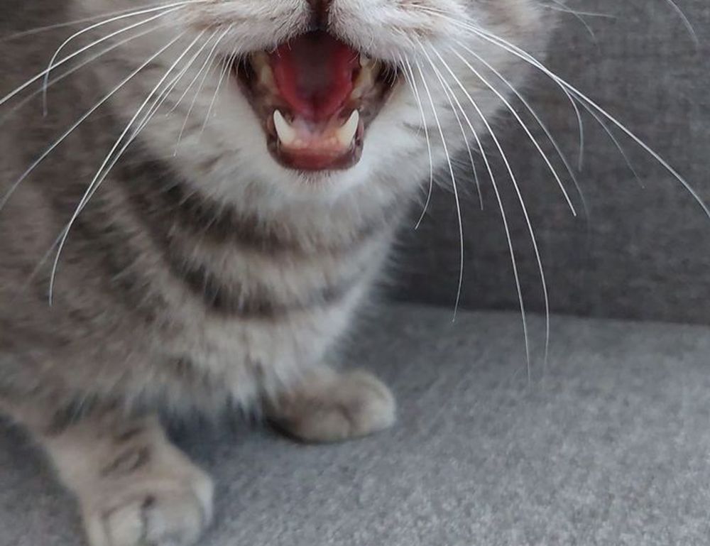 fitness tips lwspeakfit