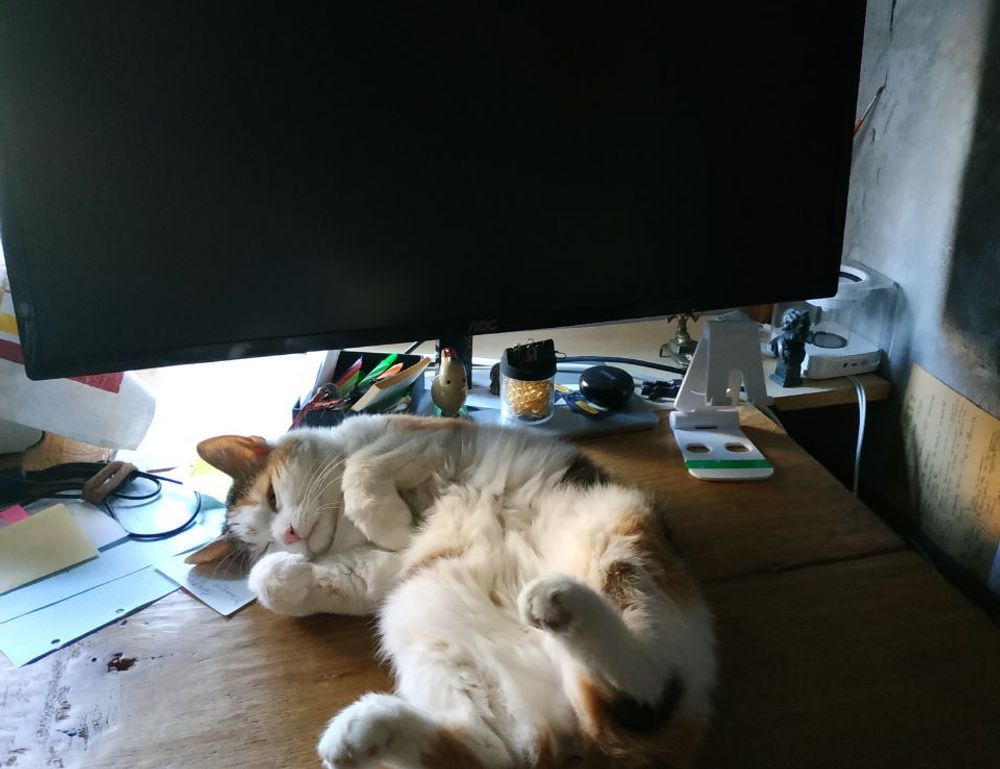 health advisory ontpwellness