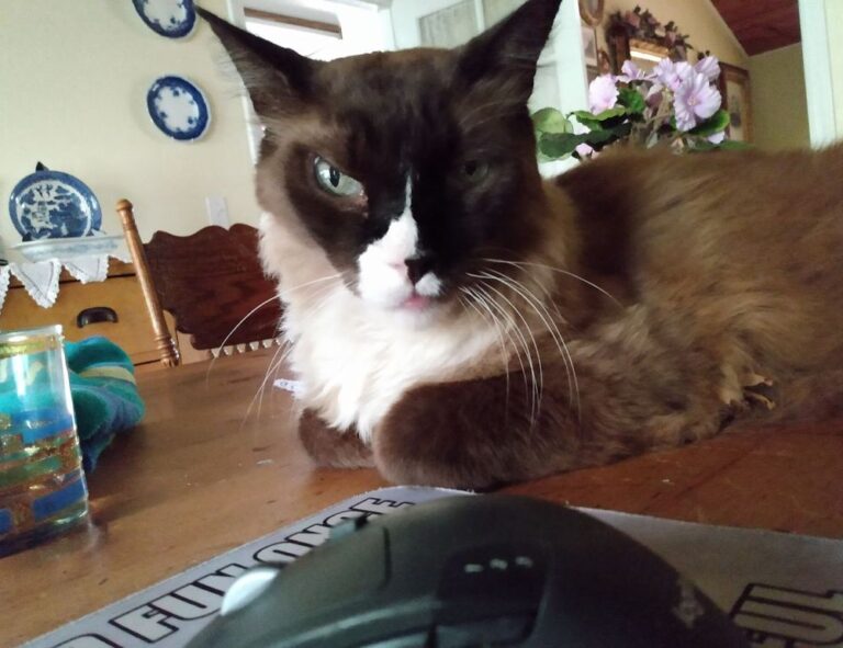 health guide ontpwellness