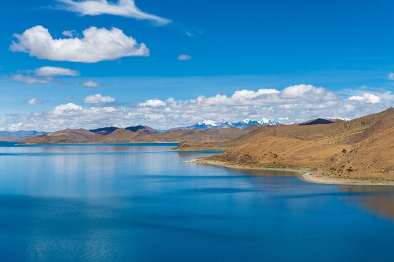 how to find the right selfstorage unit ewmagwork