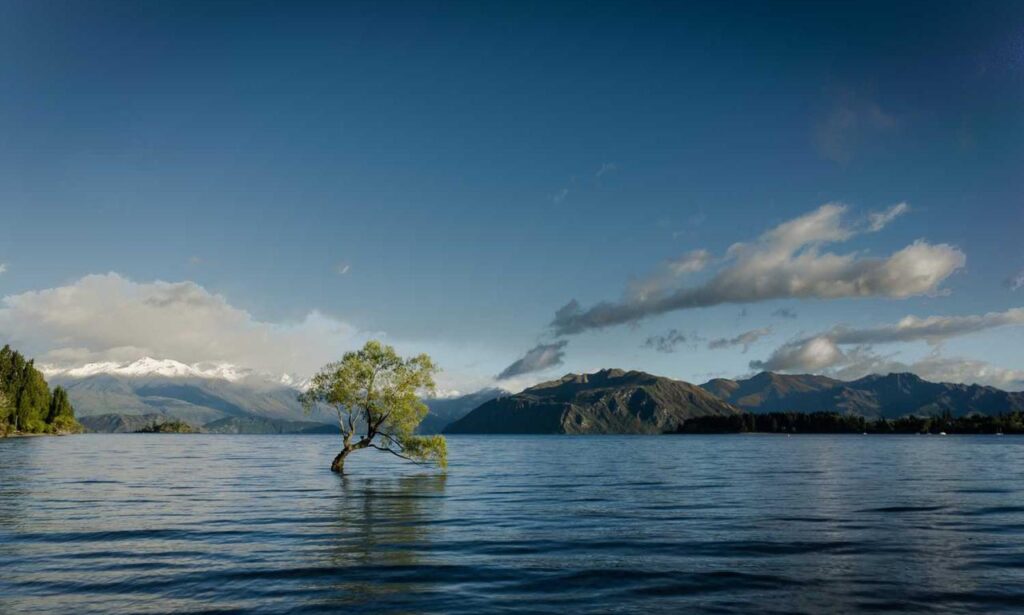 how to save bikimsum