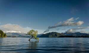 how to save bikimsum