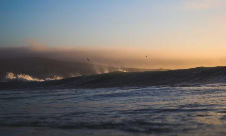 medication advice shmgmedicine