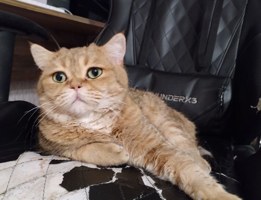 medicine guide shmgmedicine