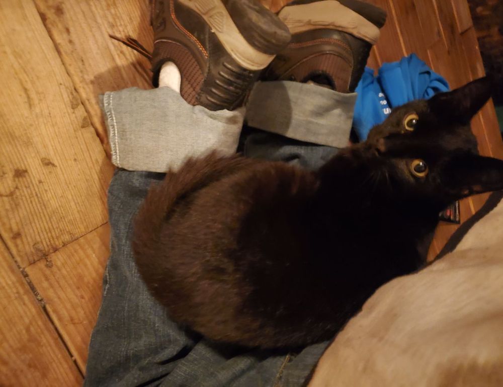 physical condition twspoonfitness