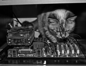 sisterhood activism ewmagwork