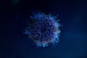 boosting immune system