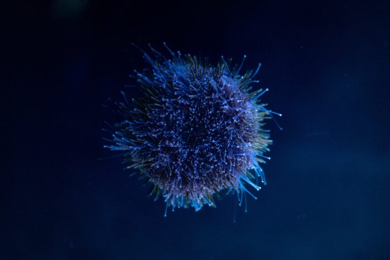 boosting immune system