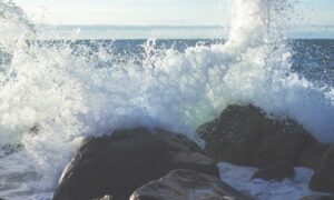 supplementing tips tweeklynutrition