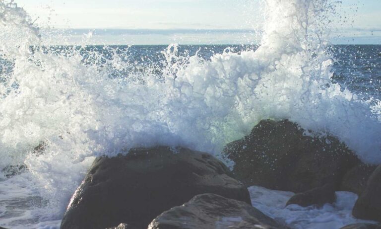 supplementing tips tweeklynutrition