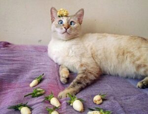 the power of activism ewmagwork