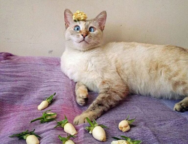 the power of activism ewmagwork