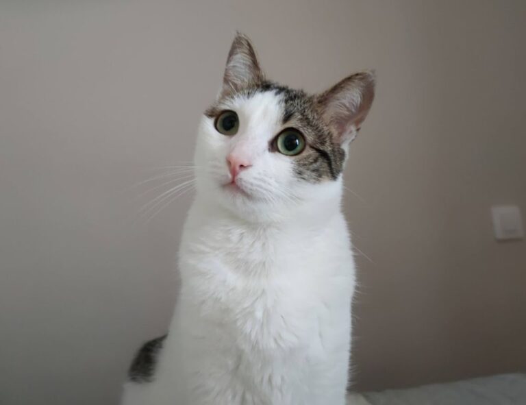 top five health tips twspoondietary