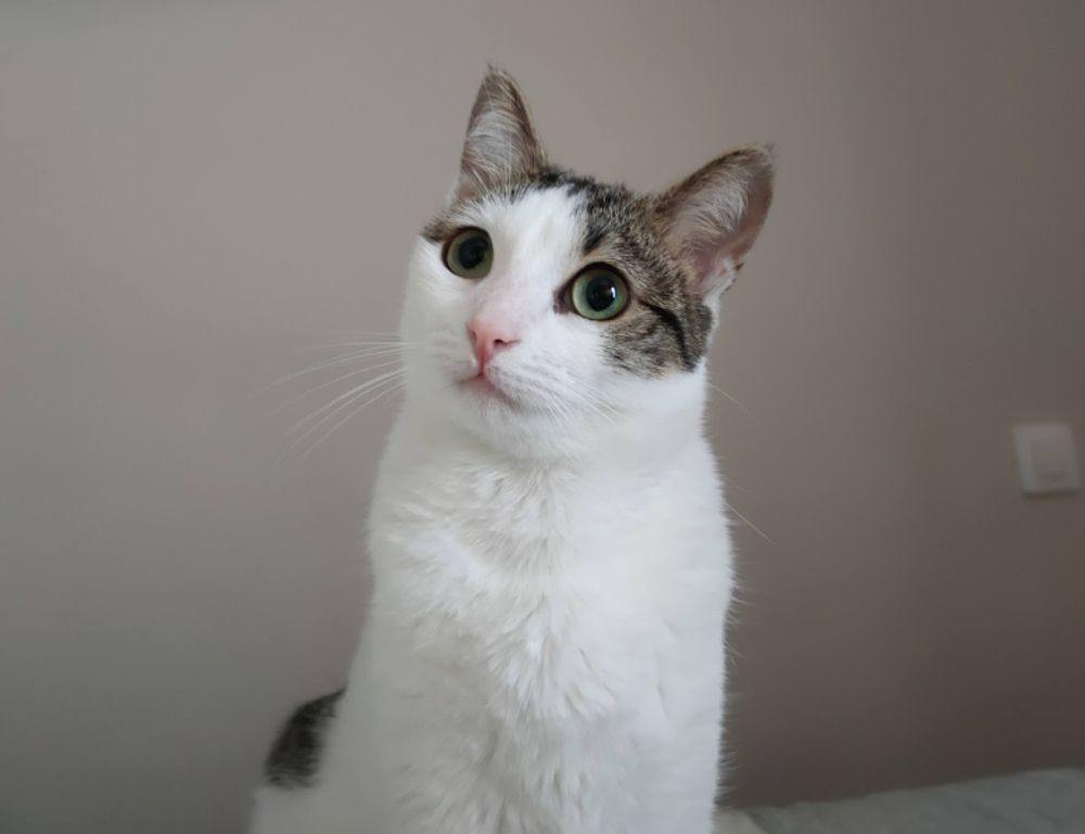 top five health tips twspoondietary