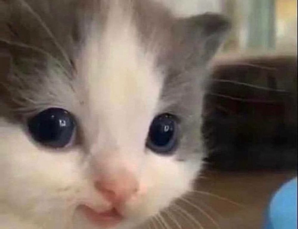 treadmill guide tweeklynutrition