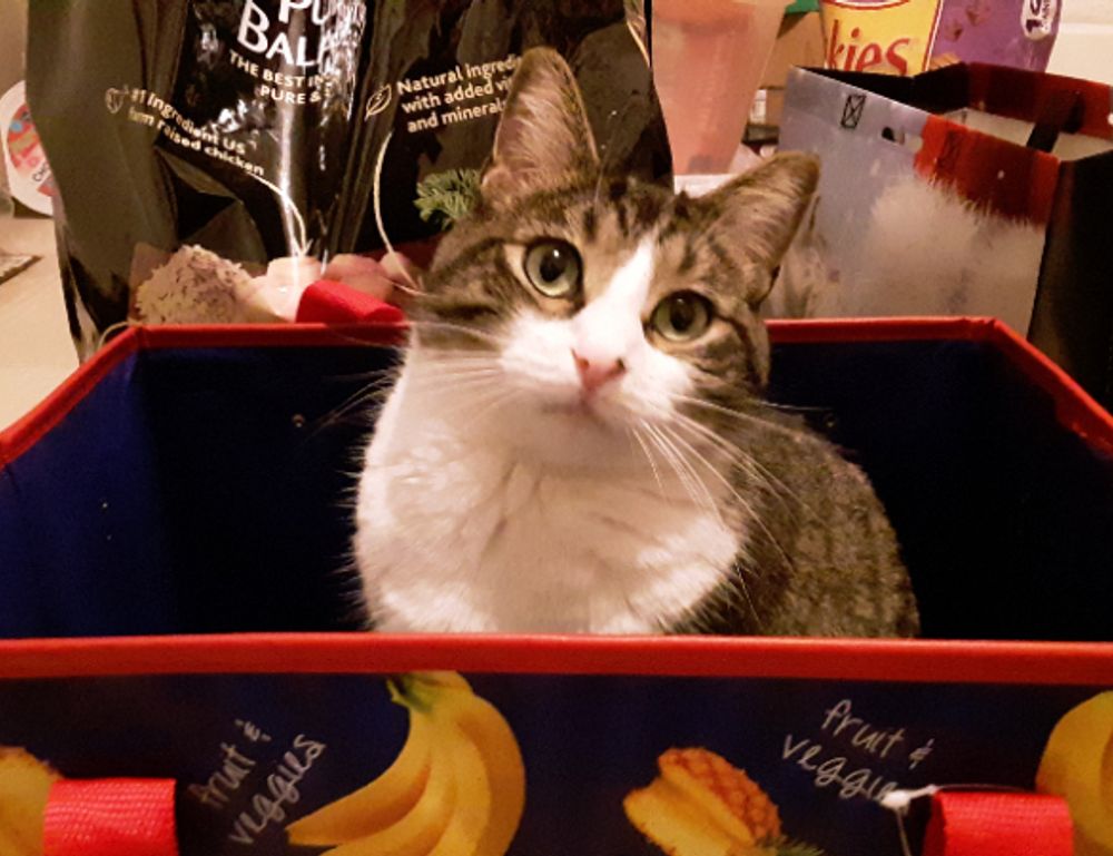 tweeklynutrition cbd guide from theweeklyspoon