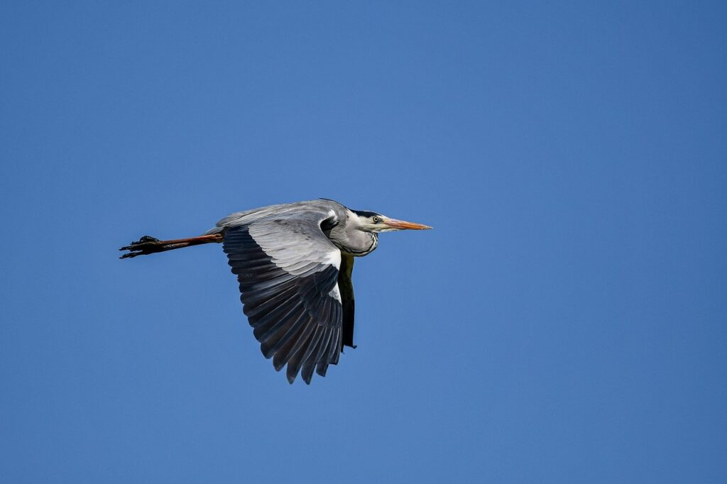 vitamin advice twspoonfitness