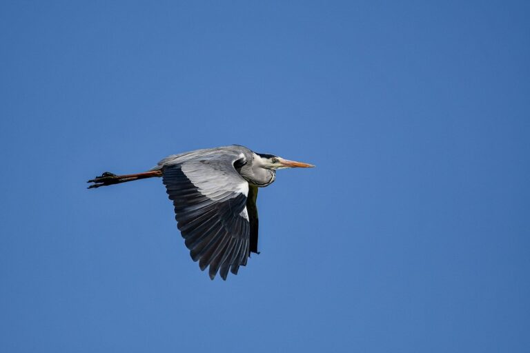 vitamin advice twspoonfitness