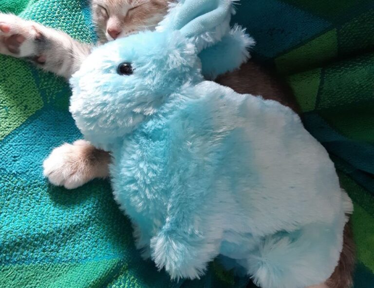 what is pilates workout ewmagwork