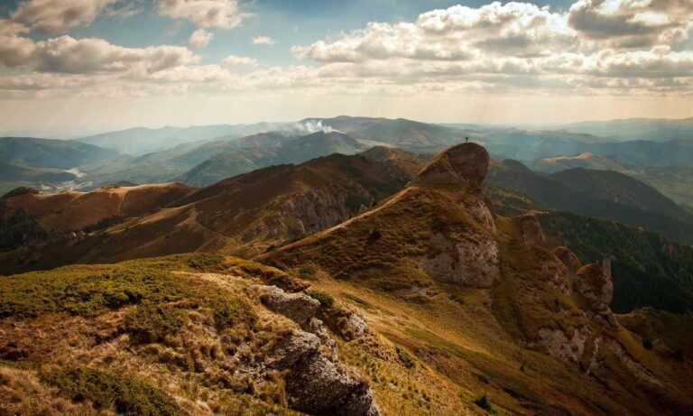 what medicine for cancer shmgmedicine